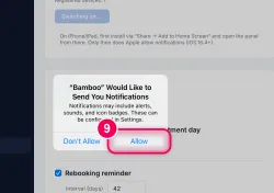 Tap „Allow“