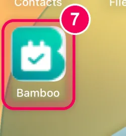Open the app