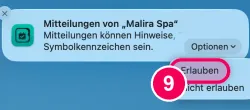 „Erlauben“ anklicken