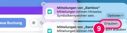 „Erlauben“ anklicken