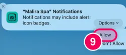 Click „Allow“