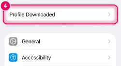 Open Settings, tap “Profile Downloaded” at the top