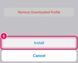 Tap “Install” again