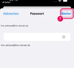 Postfach-Passwort eingeben, dann „Weiter“