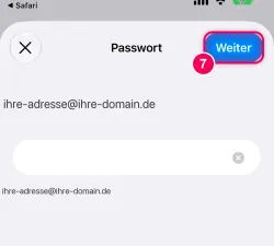 Postfach-Passwort eingeben, dann „Weiter“