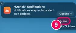 'Options', then 'Allow'