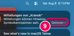 „Optionen“ und dann „Erlauben“