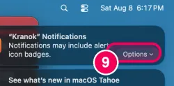 'Options', then 'Allow'